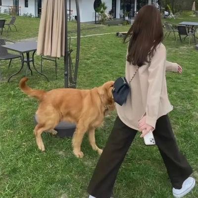 查理他说